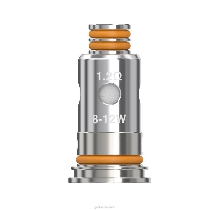 Geek vape prix - Bobine série G 5 pièces/paquet GeekVape g1,2 ohms DD21D25
