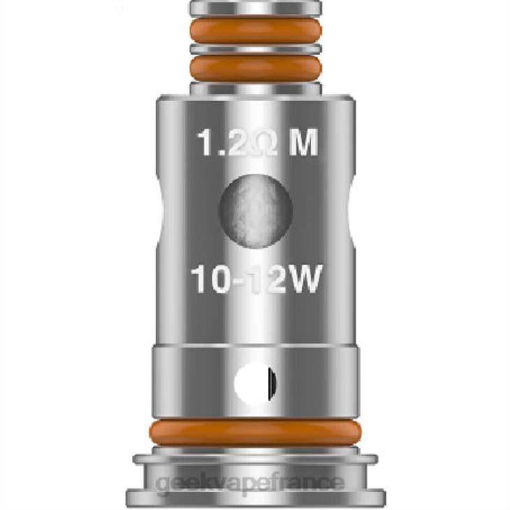 Geekvape France sav - Bobine série G 5 pièces/paquet GeekVape g1,0 ohm DD21D23