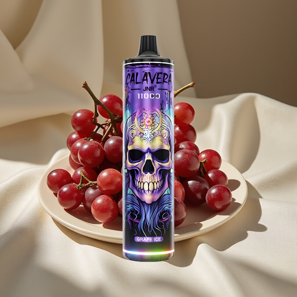 JNR Calavera 11000 Puffs Glace Raisin Port Type-C 850mAh 21ml 1.0ohm Mesh