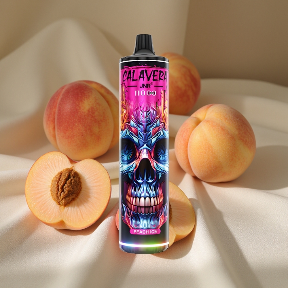 JNR Calavera 11000 Puffs Pêche Glacée Type-C 850mAh 21ml 1.0ohm Mesh