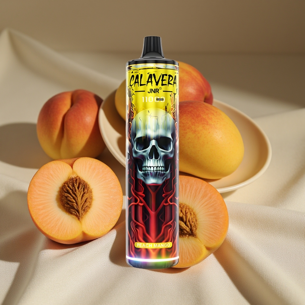 JNR Calavera 11000 Puffs Pêche Mangue Type-C 850mAh 21ml 1.0ohm