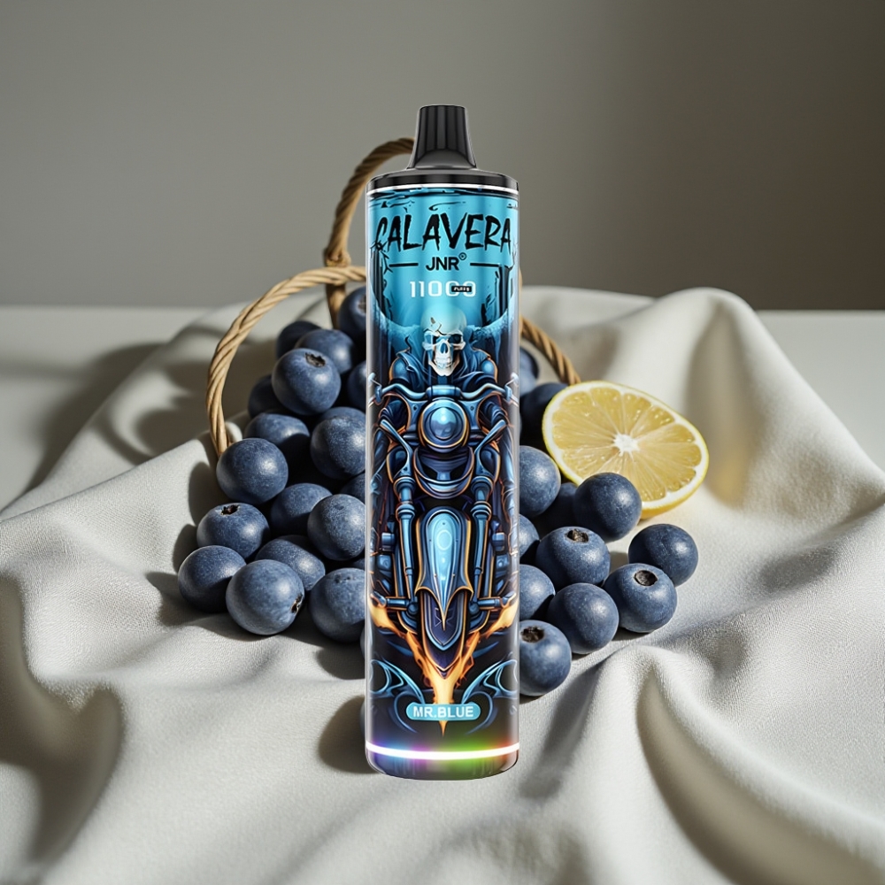 JNR Calavera 11000 Puffs Recharge Type-C 21ml Bleu Mr Disposable Vape